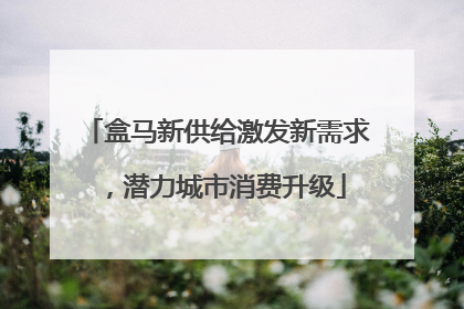 盒马新供给激发新需求，潜力城市消费升级